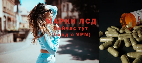 стафф Арсеньев