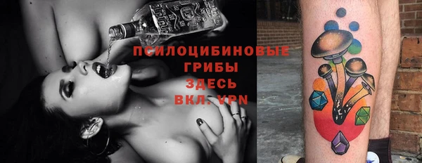 стафф Арсеньев
