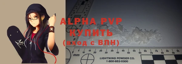 стафф Арсеньев