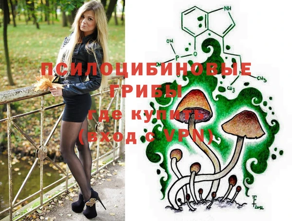 стафф Арсеньев