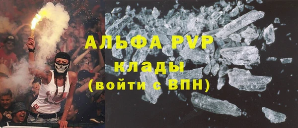 стафф Арсеньев