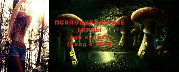 стафф Арсеньев