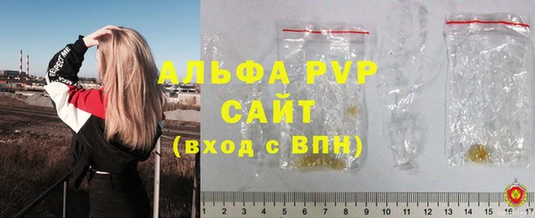 стафф Арсеньев